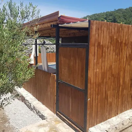 Vadi 1 * Патара
